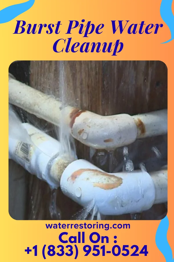 Burst Pipe Water Cleanup in Whitehall, WI